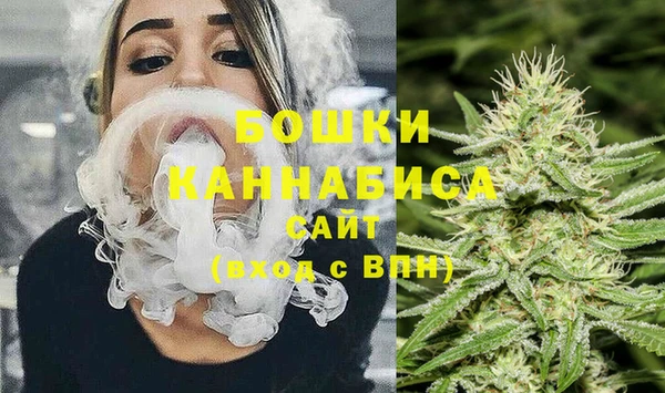 шишки Балабаново