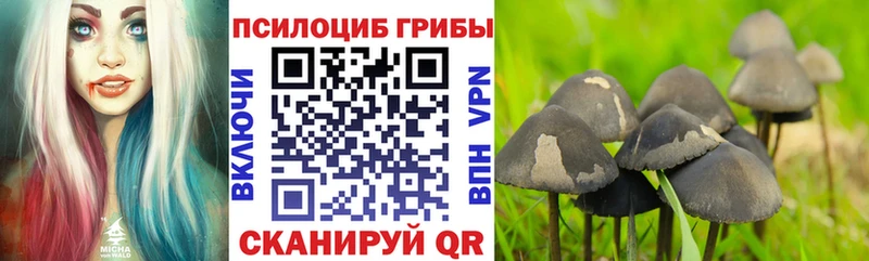ссылка на мегу ссылки продажа наркотиков Зима Псилоцибиновые грибы мухоморы