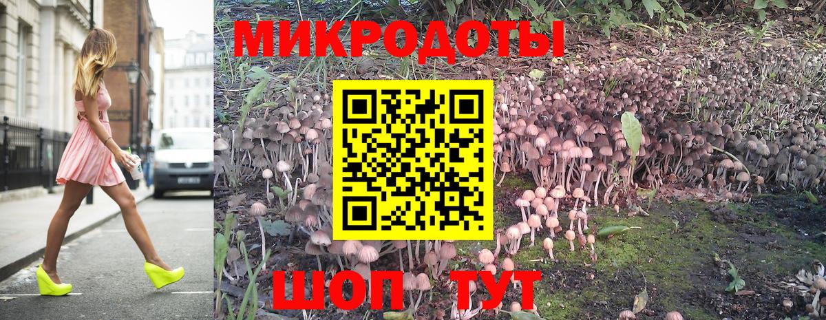 Галлюциногенные грибы ЛСД Зима