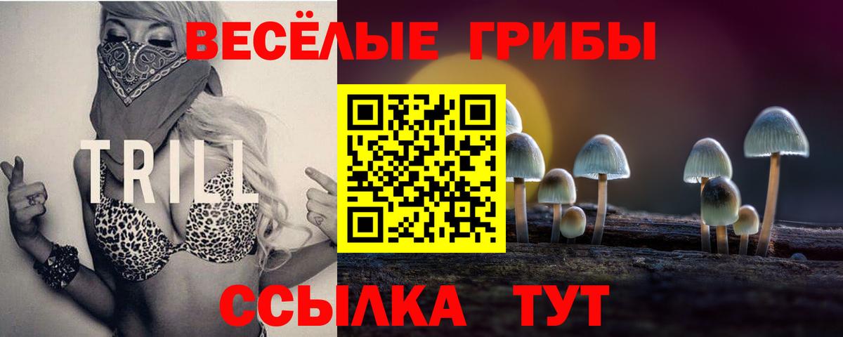 Зима  Галлюциногенные грибы мухоморы  Вход с VPN  Псилоцибиновые грибы GOLDEN TEACHER 
